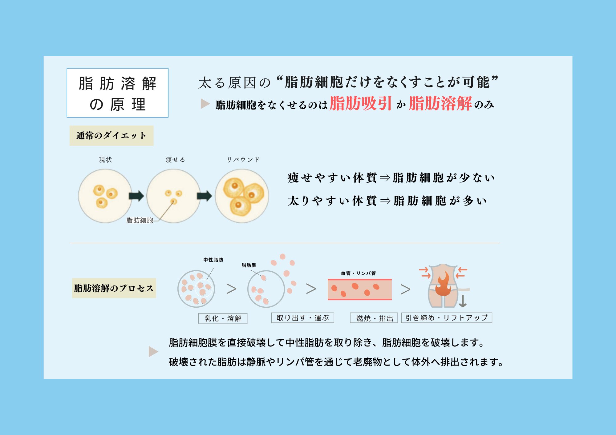 MELTY FAT SERUM®<br />
-メルティファットセラム-